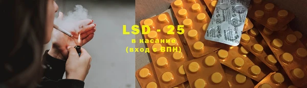 шишки Алзамай