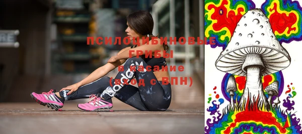 шишки Алзамай