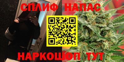 СК Севастополь