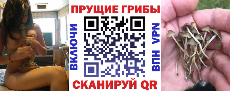 блэк спрут как войти Южно-Сахалинск Псилоцибиновые грибы Psilocybine cubensis купить цена