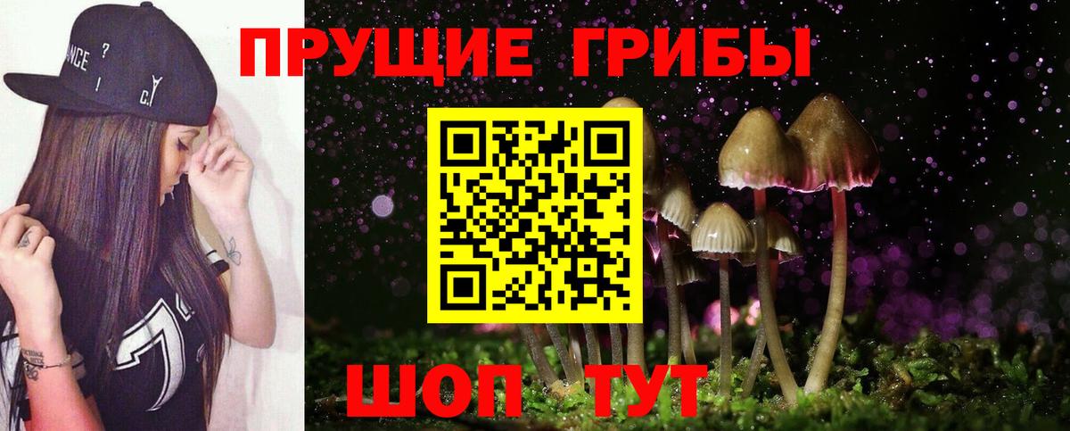 Псилоцибиновые грибы мицелий Южно-Сахалинск