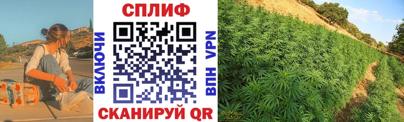 купить наркоту  Южно-Сахалинск  Каннабис гибрид 